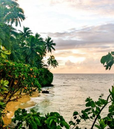 top-luxury-hotels-in-fiji-tripadvisor-namale